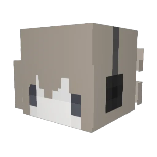 femcelwife Minecraft avatar head, 3D render