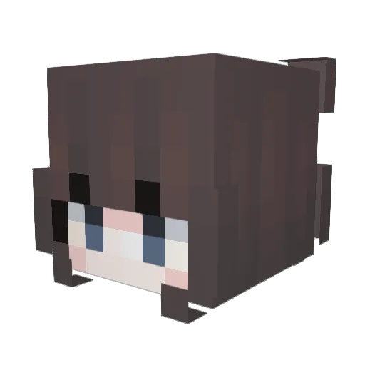 femel Minecraft avatar head, 3D render