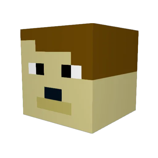 feminist634 Minecraft avatar head, 3D render