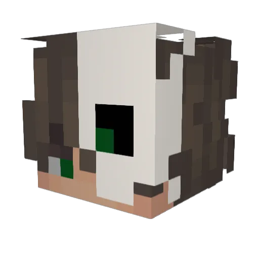 fenEvil Minecraft avatar head, 3D render