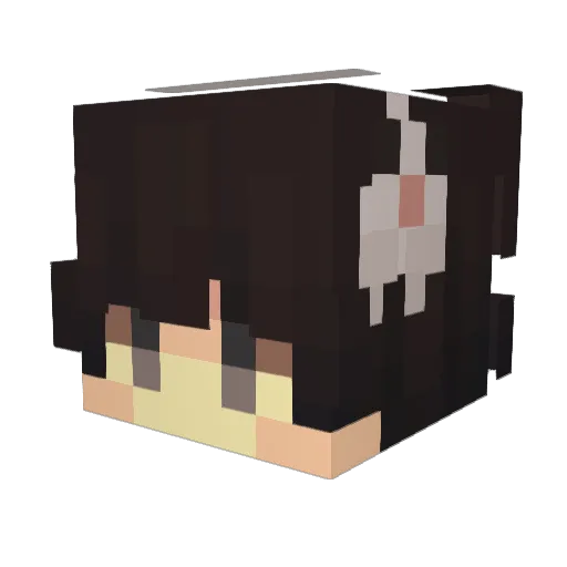 fenda29 Minecraft avatar head, 3D render