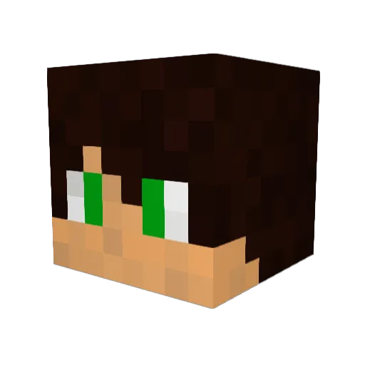 fenderman22 Minecraft avatar head, 3D render