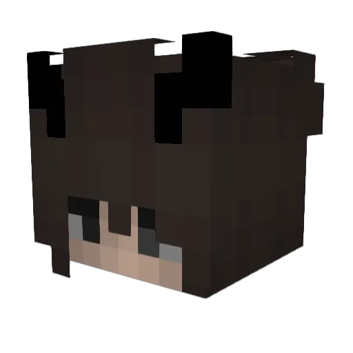 fendistore Minecraft avatar head, 3D render