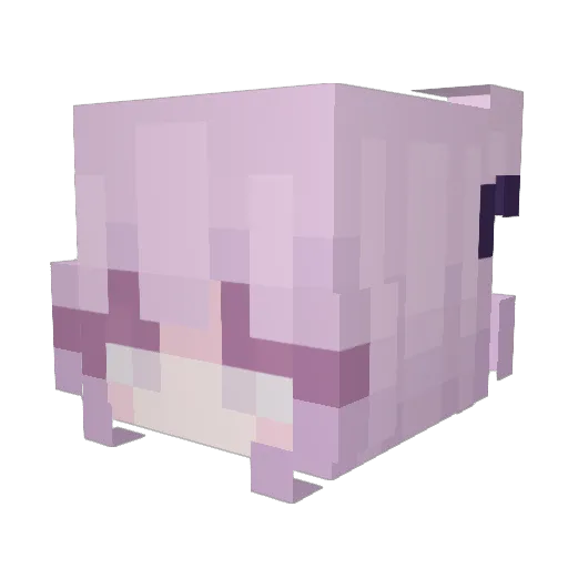 fengsang233 Minecraft avatar head, 3D render