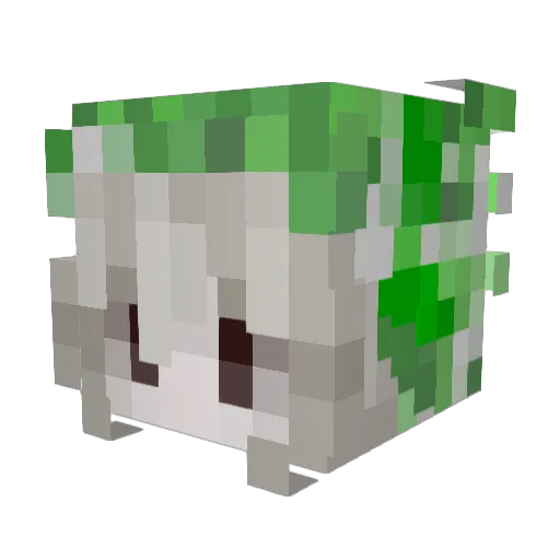 fengyin05 Minecraft avatar head, 3D render