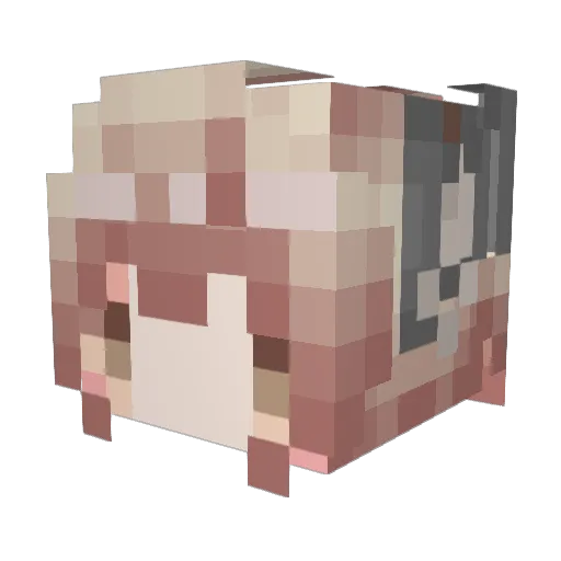 fennels Minecraft avatar head, 3D render