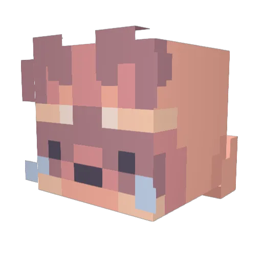 fennicookie Minecraft avatar head, 3D render
