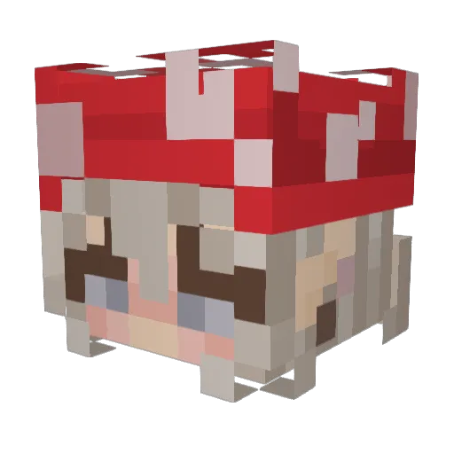 fenum Minecraft avatar head, 3D render