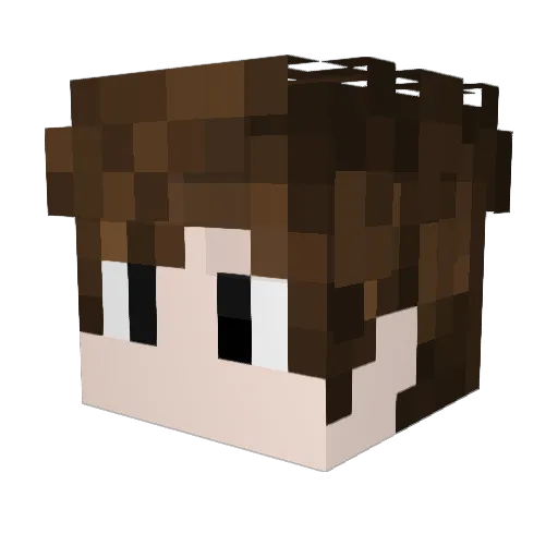 fer0ci0usmeme Minecraft avatar head, 3D render
