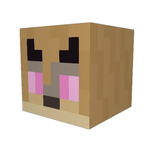 feral_graphite Minecraft avatar head, 3D render