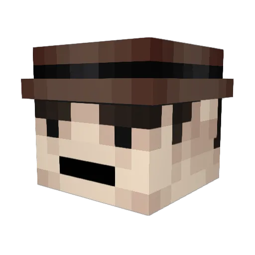 ferbot40 Minecraft avatar head, 3D render
