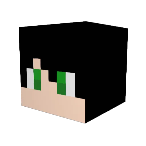 ferchanelcrack Minecraft avatar head, 3D render