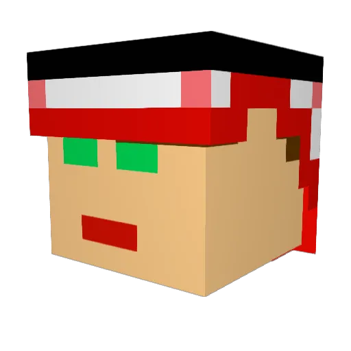 ferderplays Minecraft avatar head, 3D render