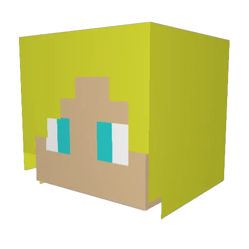 ferdi22 Minecraft avatar head, 3D render