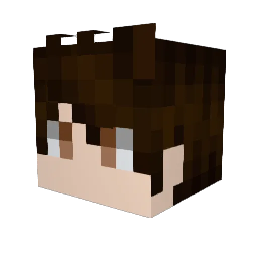ferdi7 Minecraft avatar head, 3D render