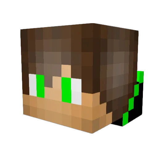 ferf123 Minecraft avatar head, 3D render