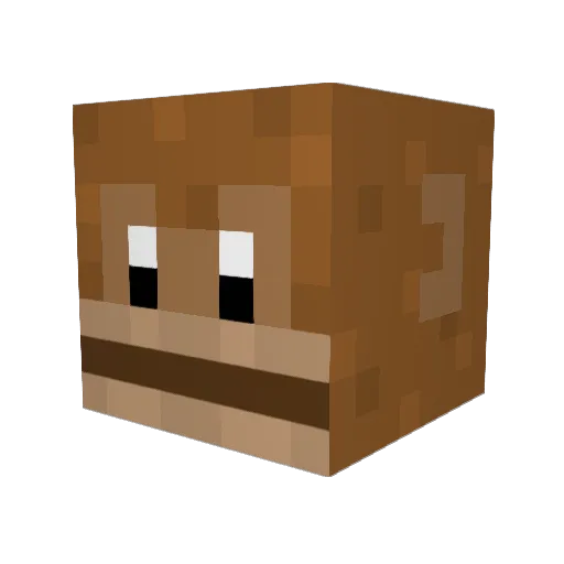 fergus631 Minecraft avatar head, 3D render