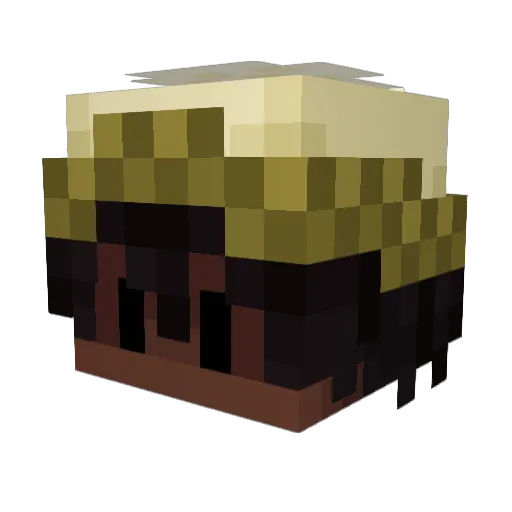 ferifoter Minecraft avatar head, 3D render