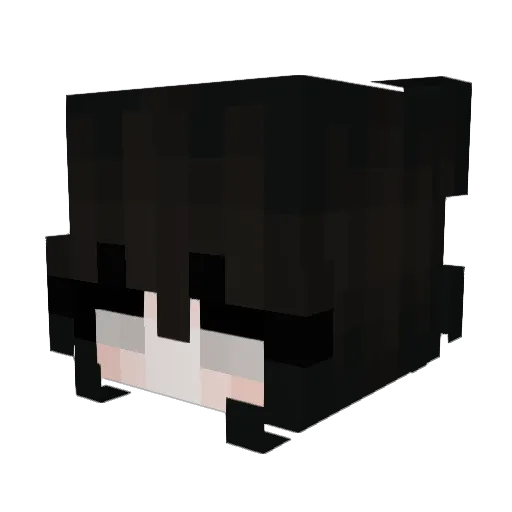 ferlings Minecraft avatar head, 3D render