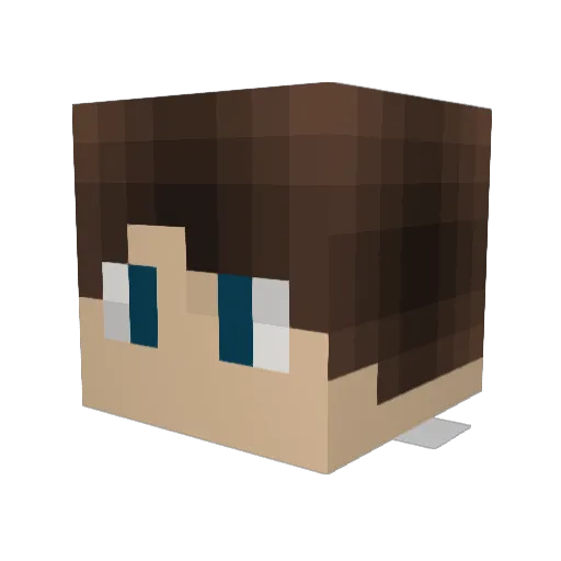 fermando999 Minecraft avatar head, 3D render