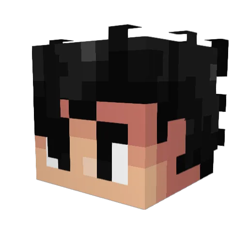 fernan16 Minecraft avatar head, 3D render