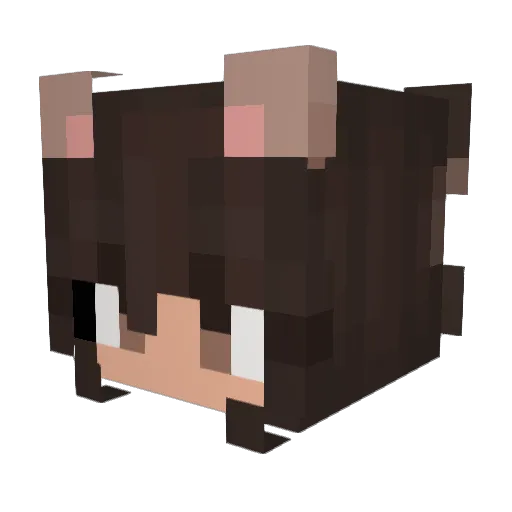 fernanda2009 Minecraft avatar head, 3D render