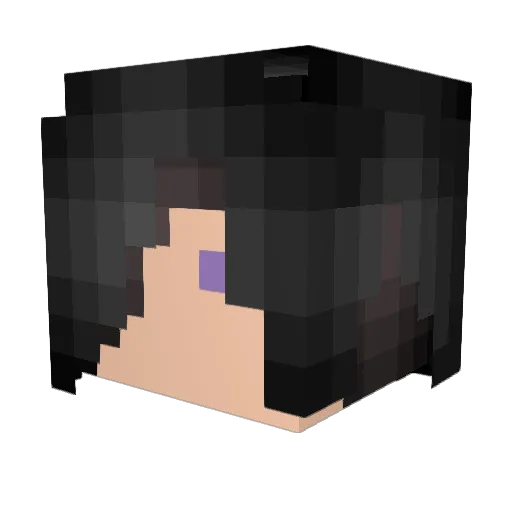 fernandovazboz Minecraft avatar head, 3D render