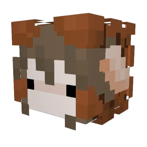 fernermikrofon Minecraft avatar head, 3D render