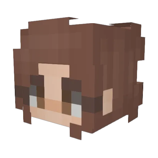 fernie3 Minecraft avatar head, 3D render