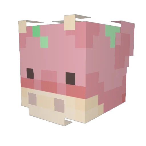 fernie_sanders6 Minecraft avatar head, 3D render