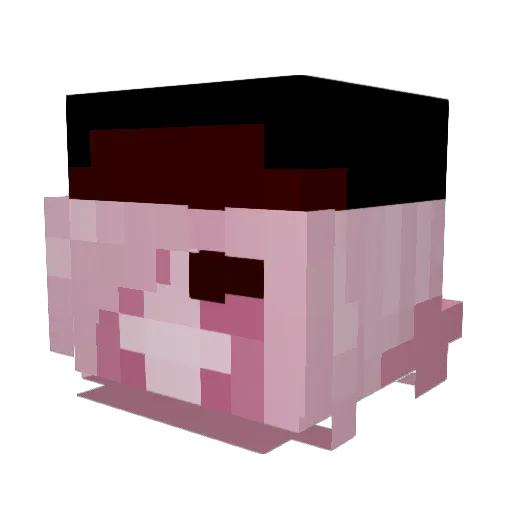 fernillion Minecraft avatar head, 3D render