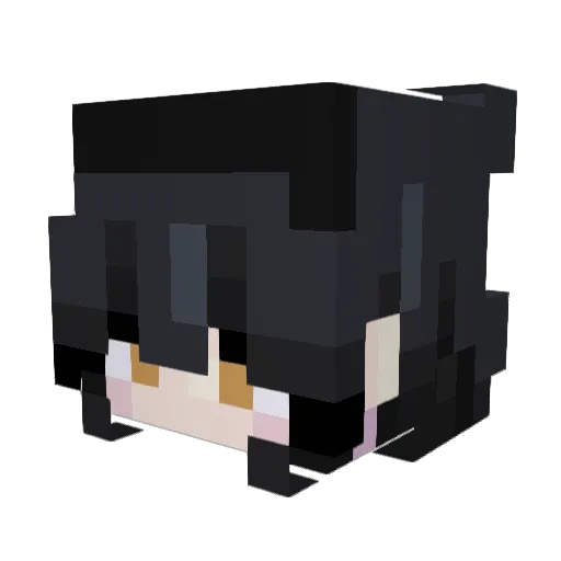 fernilu3 Minecraft avatar head, 3D render