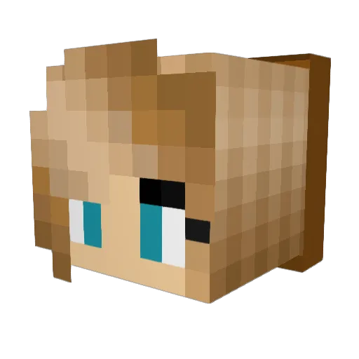 ferno2015 Minecraft avatar head, 3D render