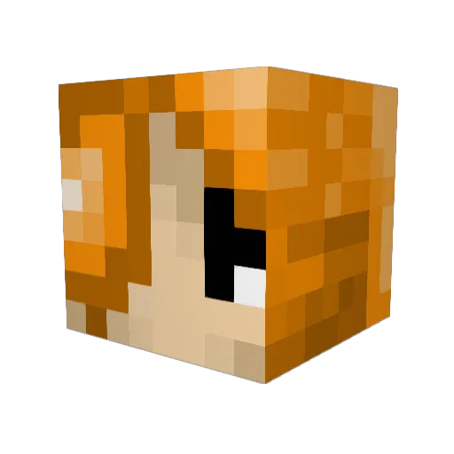 ferocious_ferret Minecraft avatar head, 3D render