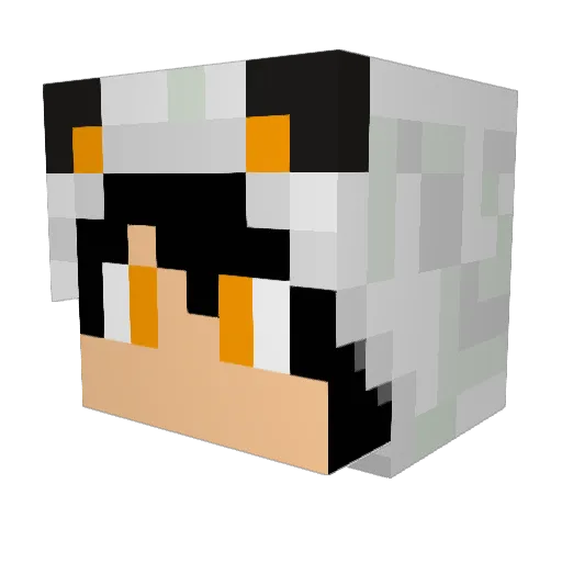 feroco2014 Minecraft avatar head, 3D render