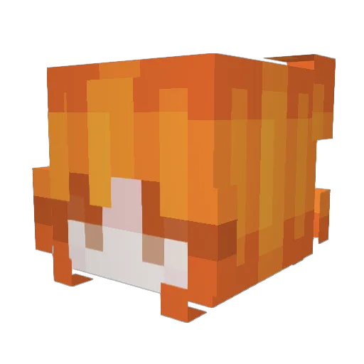 ferolita Minecraft avatar head, 3D render