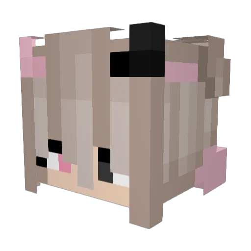 ferqann Minecraft avatar head, 3D render
