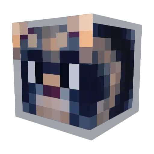 ferret135 Minecraft avatar head, 3D render