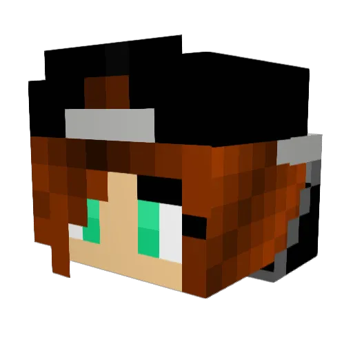 ferretlover5657 Minecraft avatar head, 3D render