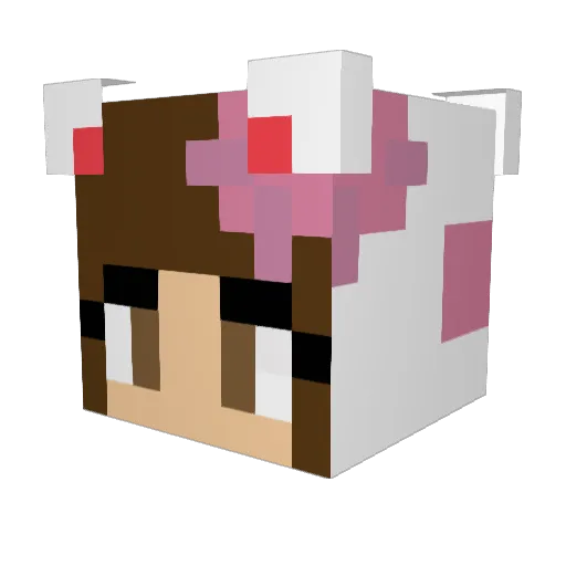 ferretstar12 Minecraft avatar head, 3D render