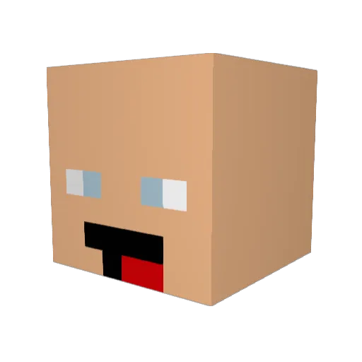 ferrno1101 Minecraft avatar head, 3D render