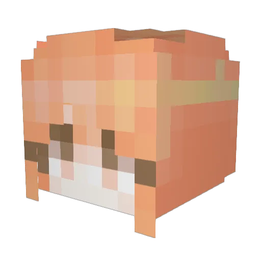 fertoniter Minecraft avatar head, 3D render