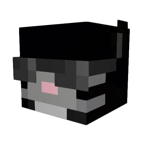fertyfwee Minecraft avatar head, 3D render