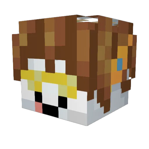 ferzito2010 Minecraft avatar head, 3D render