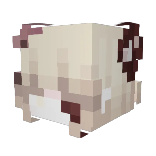 festinha Minecraft avatar head, 3D render