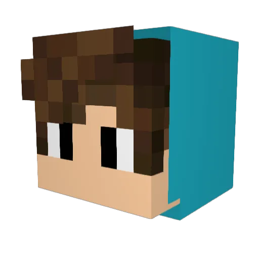 festivebeatle43 Minecraft avatar head, 3D render