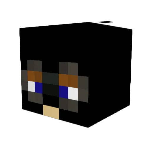 festus5806 Minecraft avatar head, 3D render