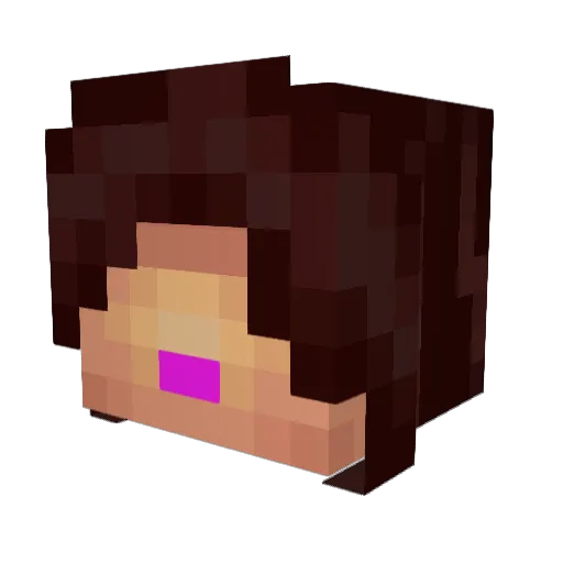 fetalmeat Minecraft avatar head, 3D render