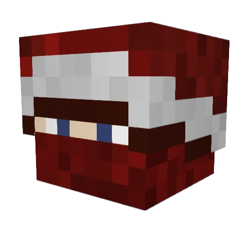 fetcherus Minecraft avatar head, 3D render