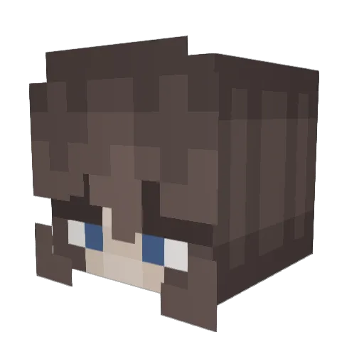 fetchmyrights Minecraft avatar head, 3D render